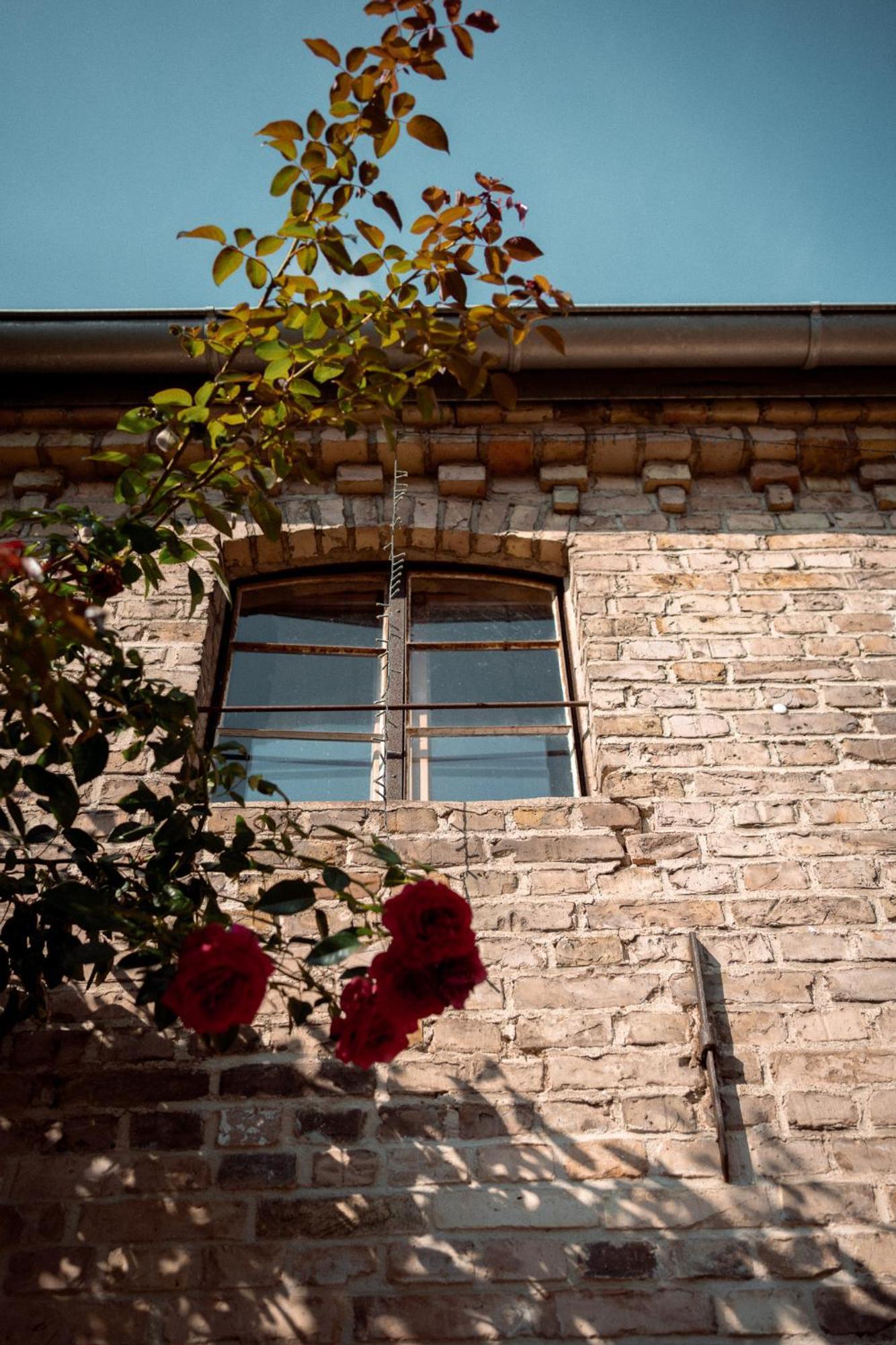 Thomashof Klein-Mutz Daire Zehdenick Dış mekan fotoğraf